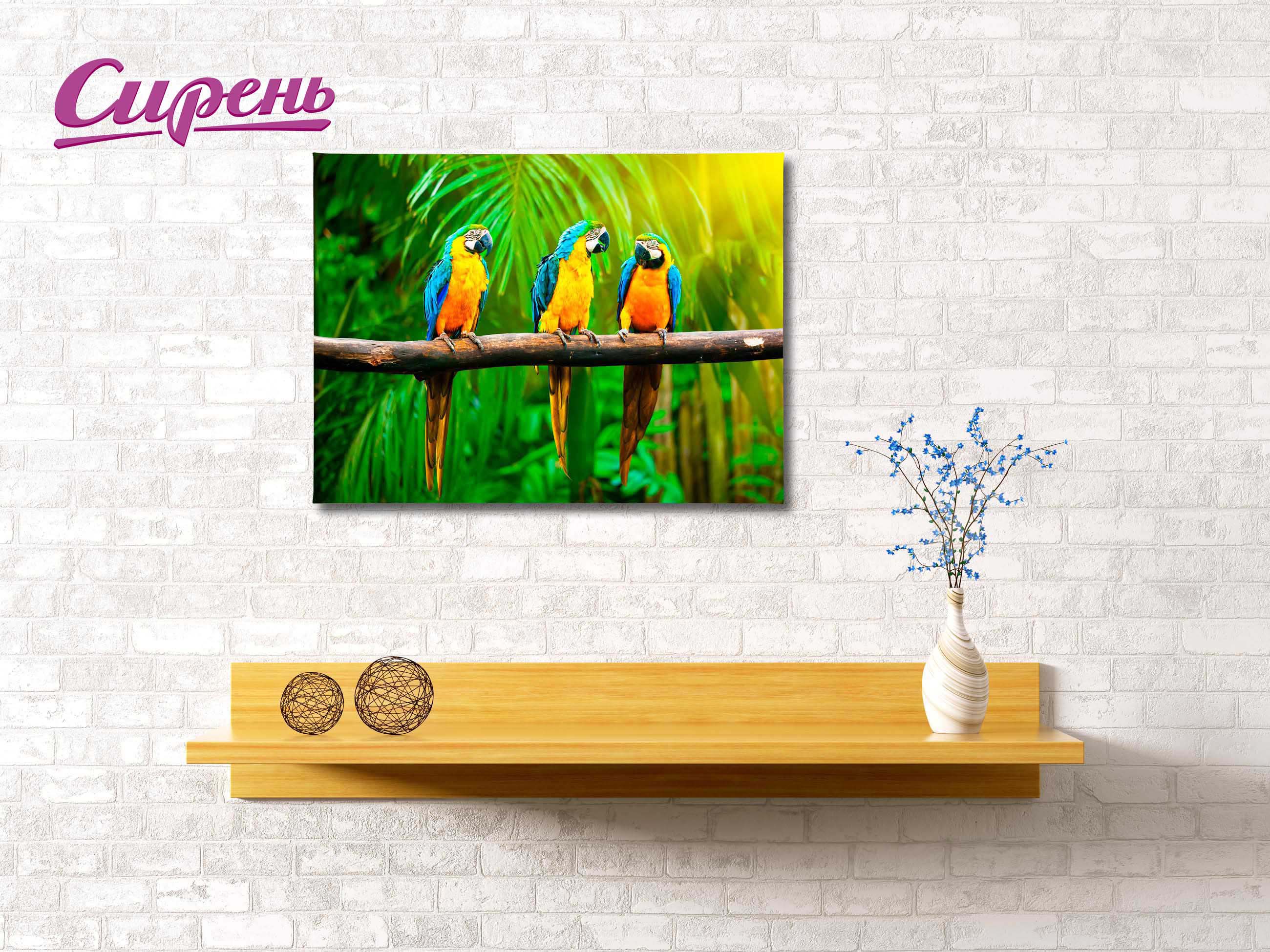 Картина Тропические Попугаи (40х60 см), размер 40х60 см, цвет желтый srn375130 Картина Тропические Попугаи (40х60 см) - фото 1