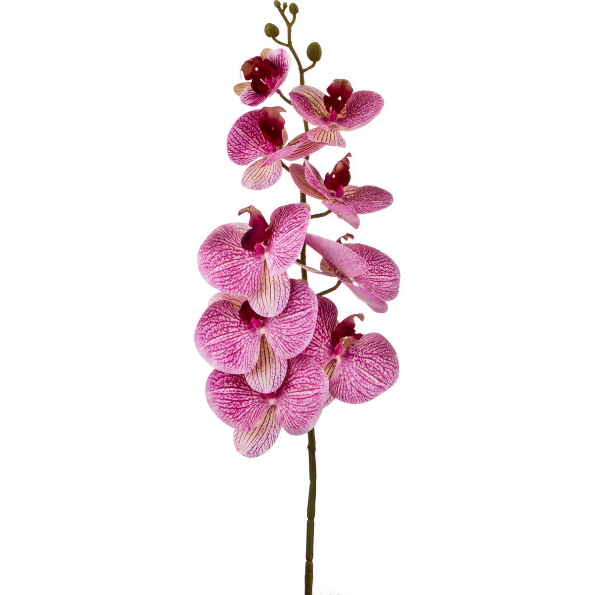 Искусственный цветок Орхидея (100 см), размер 100 см hpff378702 Искусственный цветок Орхидея (100 см) - фото 1