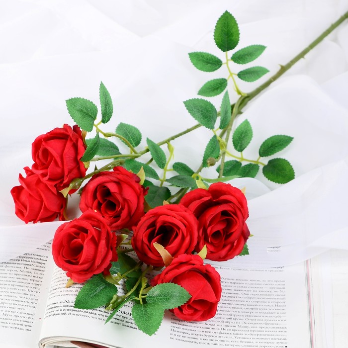 Цветочная композиция Роза Септима (5х65 см) Poetry in flowers