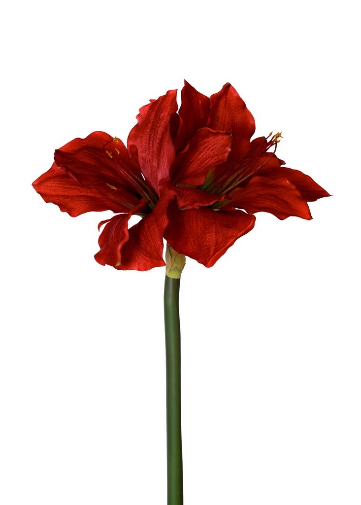 

{} ARTEVALUCE