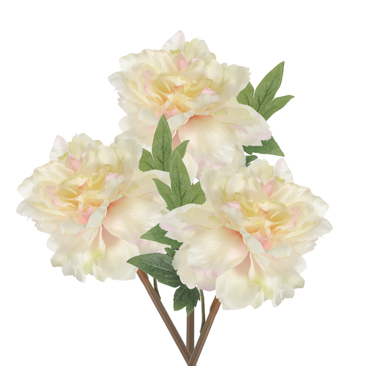 

{} ARTEVALUCE