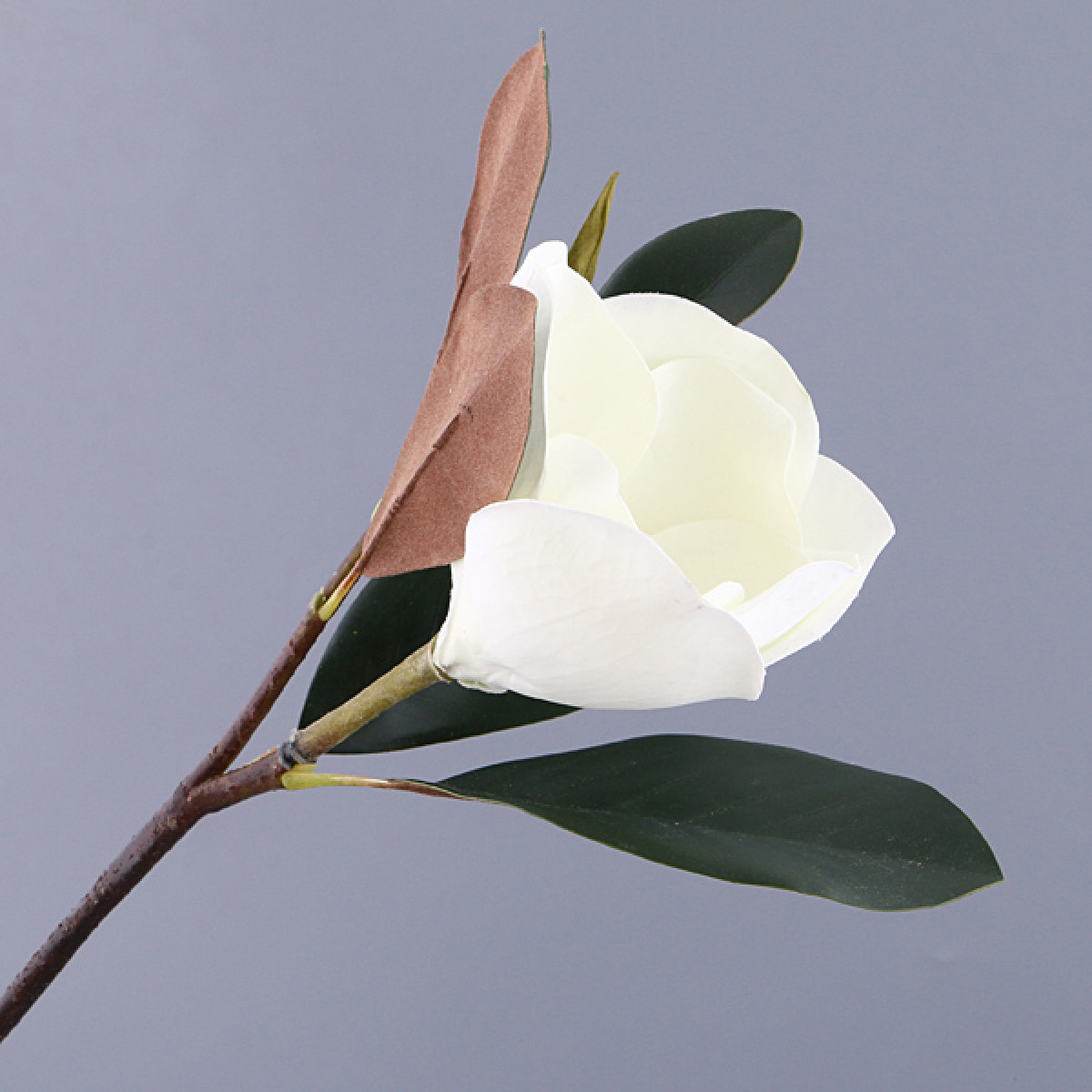 

{} SILK-KA