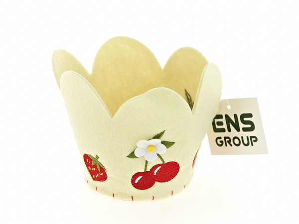 

{} ENS GROUP