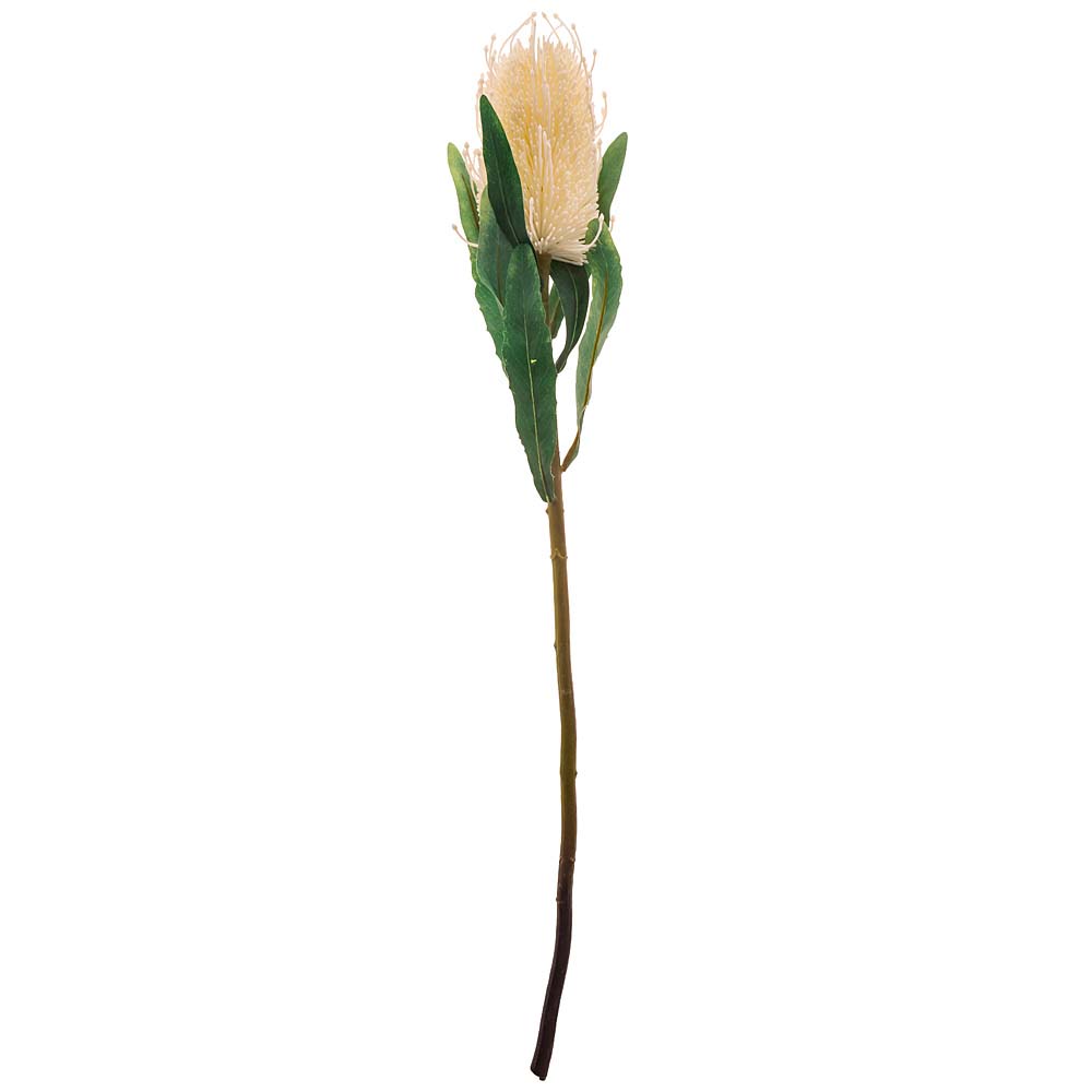 Искусственное растение Araceli (63 см)