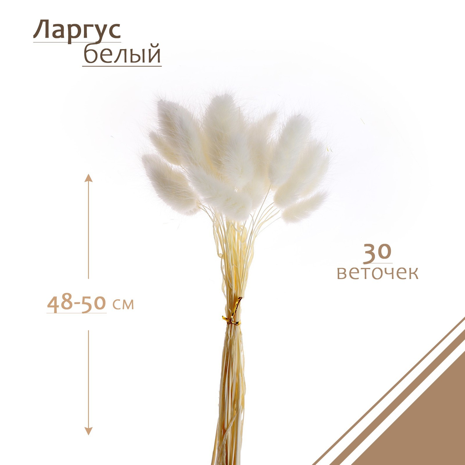Сухоцвет цветы лагуруса цвет: белый (4х6х60 см)