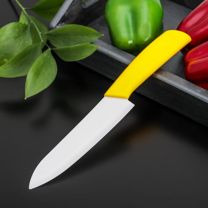Нож Симпл в ассортименте (34х7х2 см)
