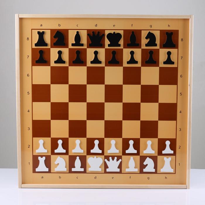 Шахматы и шашки (70х70 см) Десятое королевство