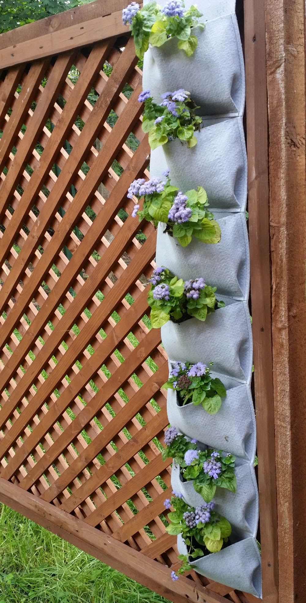 

{} HomeDeco