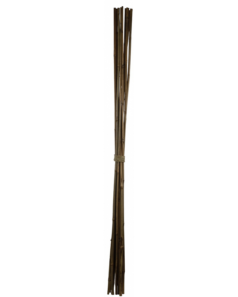 

Искусственные растения ARTEVALUCE