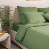 Постельное белье Моноспейс цвет: зеленый