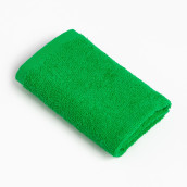Полотенце Esfira цвет: ярко-зеленый (30х30 см)
