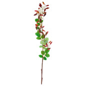Искусственное растение Zackery (115 см)