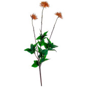 Искусственное растение Cass (42 см)