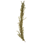 Искусственное растение Ambrosia (85 см)