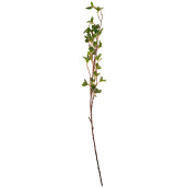 Искусственное растение Lisett (105 см)