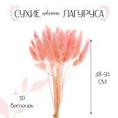 Сухоцвет лагуруса цвет: розовый (4х6х60 см)