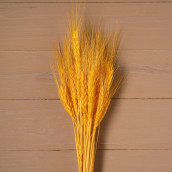 Сухоцвет колос пшеницы цвет: желтый (7х11х70 см)