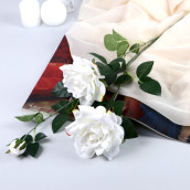 Цветочная композиция Роза Прованс цвет: белый (11х100 см)