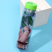 Бутылка Попугай (550 мл)
