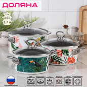 Набор кастрюль Тропики (Набор)