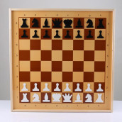Шахматы и шашки (70х70 см)