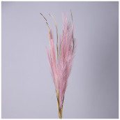 Цветок Помпасная трава (87 см)