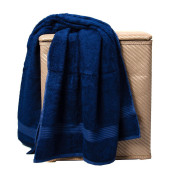 Набор из 2 полотенец Amadeus цвет: синий (40х60 см - 2 шт)