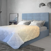 Одеяло Perfect dream (200х220 см)