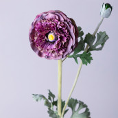 Цветок Ранункулюс (55 см)