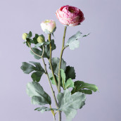 Цветок Ранункулюс (55 см)