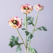 Цветок Ранункулюс (48 см)
