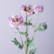 Цветок Ранункулюс (48 см)