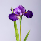 Цветок (90 см)