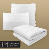 Набор 1 одеяло + 2 подушки Eucalyptus, эвкалиптовое волокно в чехле тенсел, всесезонный