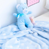 Детский плед + игрушка Тедди цвет: голубой (100х150 см)