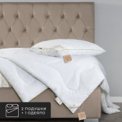 Набор 1 одеяло + 2 подушки Bamboo, бамбуковое волокно в микрофибре, всесезонный