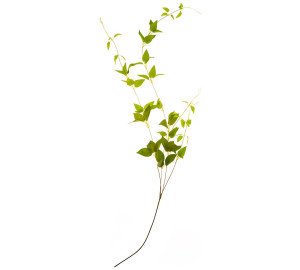 Искусственное растение Somon (130 см)