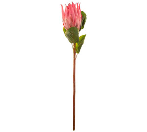 Искусственное растение Ariana (68 см)