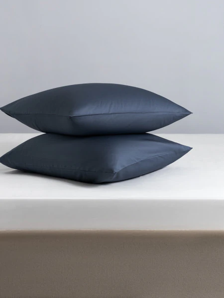 Наволочка Вернер (70х70 (2 шт))