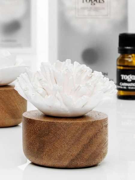 Саше для дома Гвоздика (10 мл)