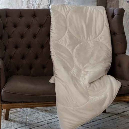 Одеяло Silk Familie Bio Легкое (160х220 см), размер 160х220 см gg794017 Одеяло Silk Familie Bio Легкое (160х220 см) - фото 1