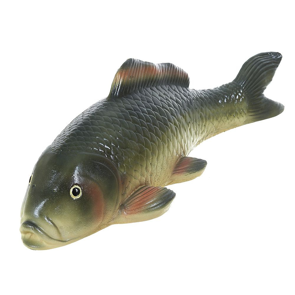 Живая Рыба Для Пруда Купить В Новосибирске