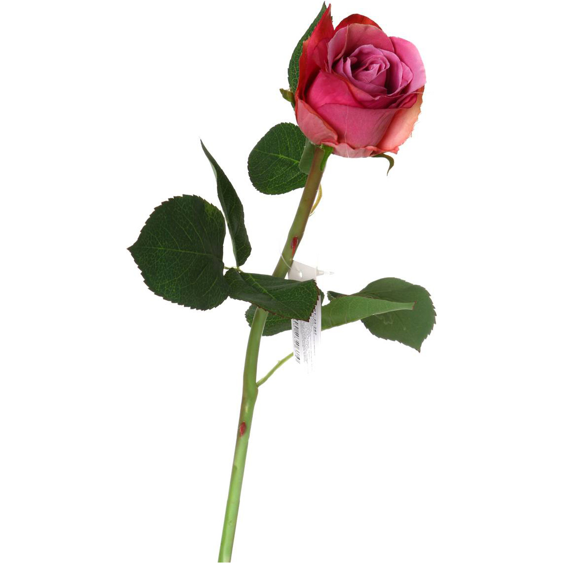 Цветок Роза (50 см), размер 50 см lfr956580 Цветок Роза (50 см) - фото 1