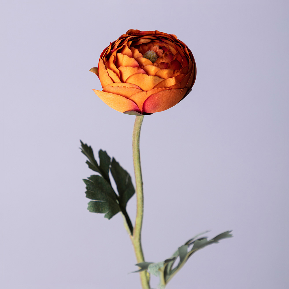 Цветок Ранункулюс (50 см), размер 50 см