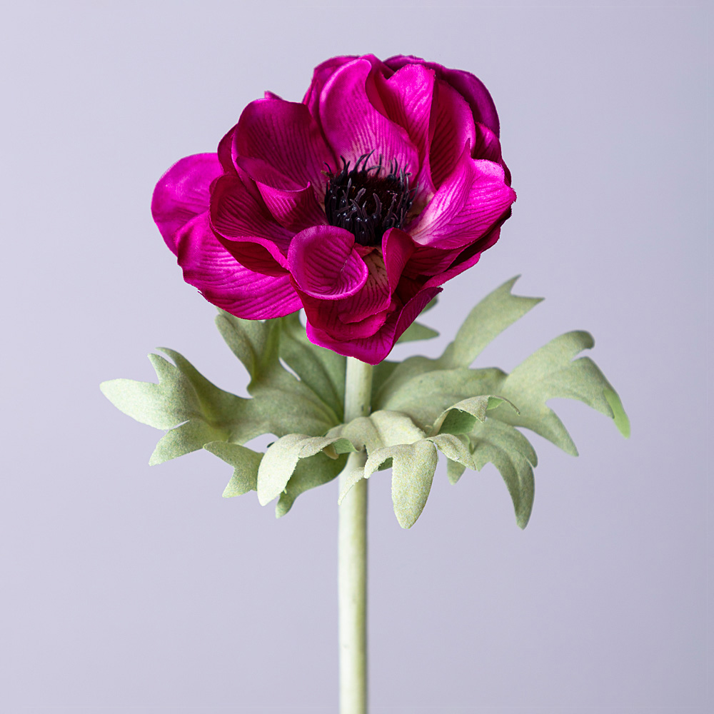 Цветок Мак (50 см), размер 50 см