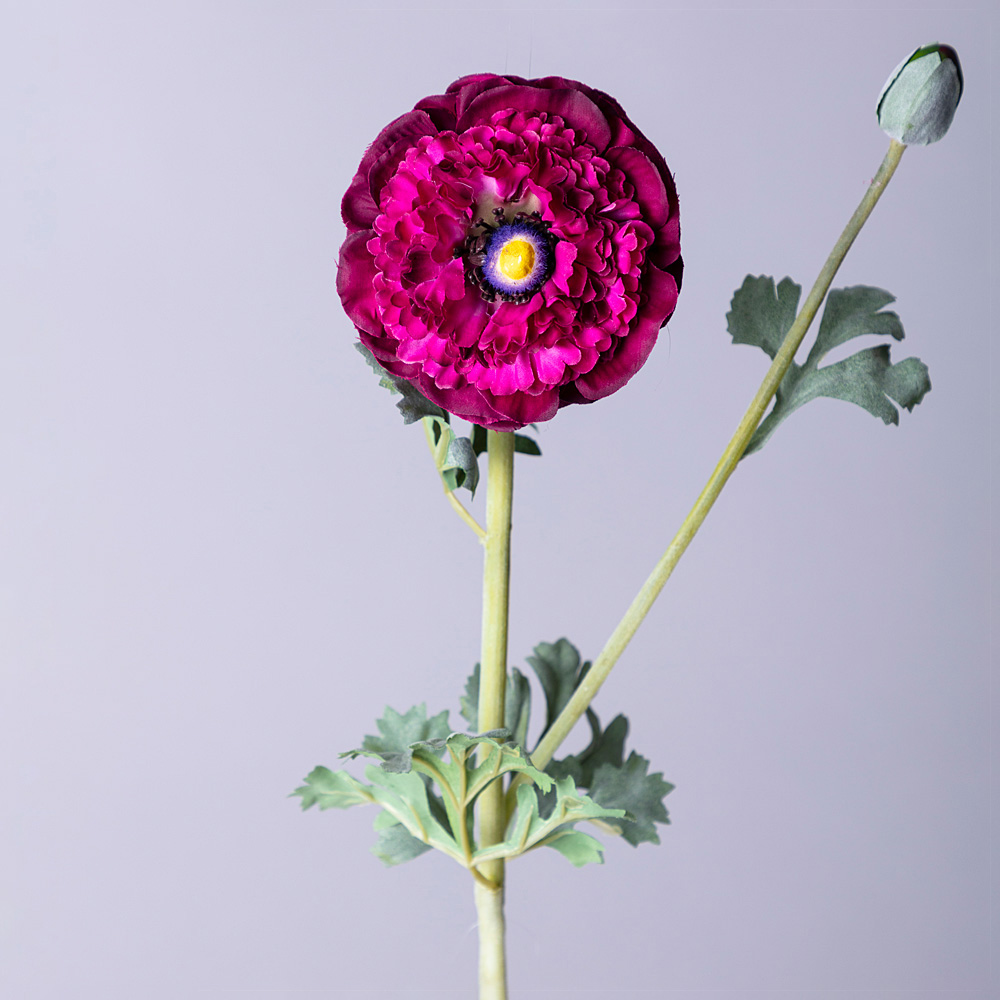 Цветок Ранункулюс (55 см), размер 55 см