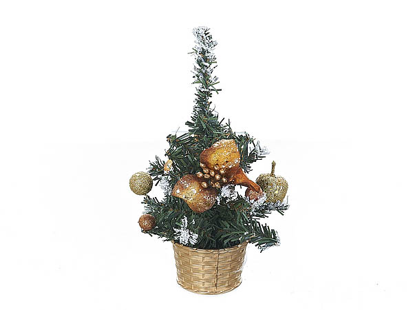 

{} Monte Christmas